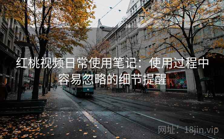 红桃视频日常使用笔记：使用过程中容易忽略的细节提醒