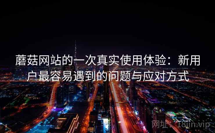 蘑菇网站的一次真实使用体验：新用户最容易遇到的问题与应对方式