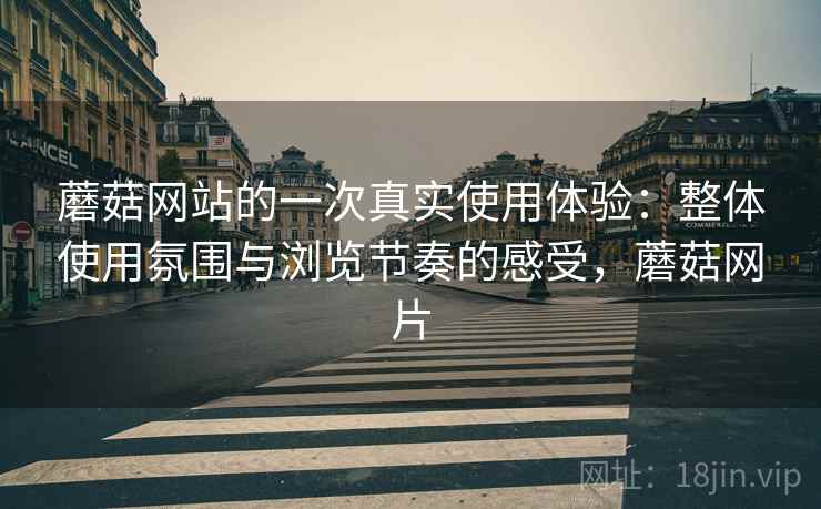 蘑菇网站的一次真实使用体验：整体使用氛围与浏览节奏的感受，蘑菇网片
