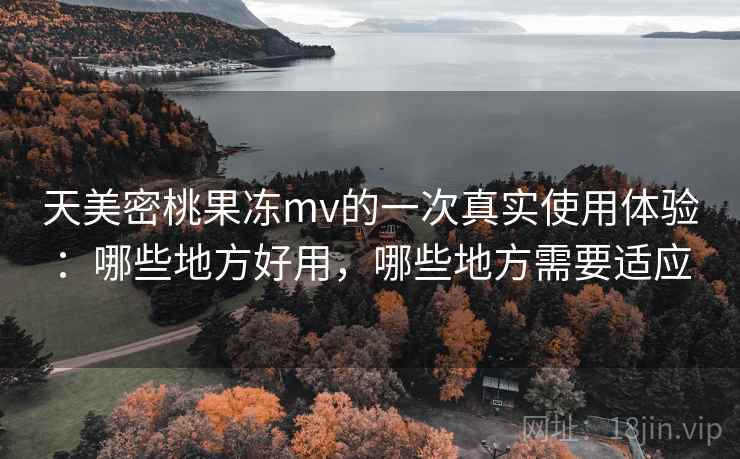天美密桃果冻mv的一次真实使用体验：哪些地方好用，哪些地方需要适应