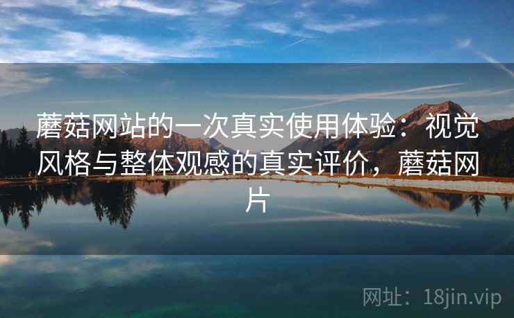 蘑菇网站的一次真实使用体验：视觉风格与整体观感的真实评价，蘑菇网片