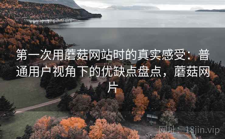 第一次用蘑菇网站时的真实感受：普通用户视角下的优缺点盘点，蘑菇网片