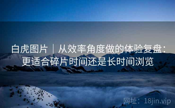 白虎图片｜从效率角度做的体验复盘：更适合碎片时间还是长时间浏览