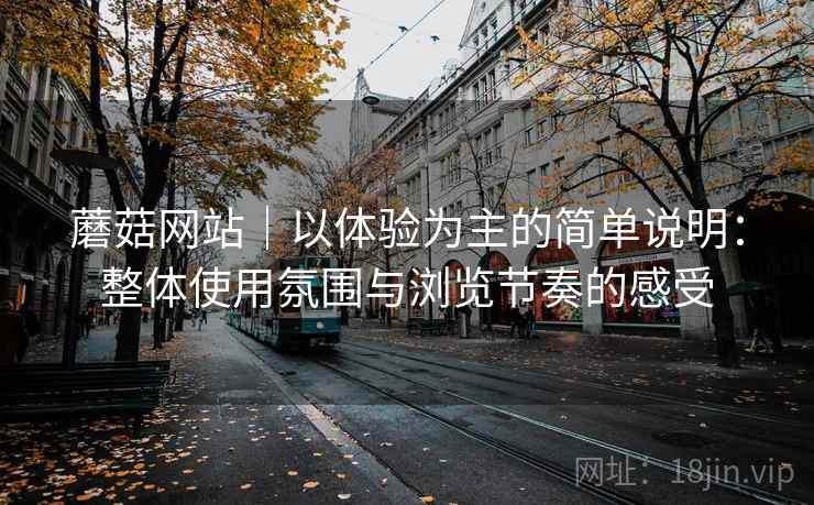 蘑菇网站｜以体验为主的简单说明：整体使用氛围与浏览节奏的感受