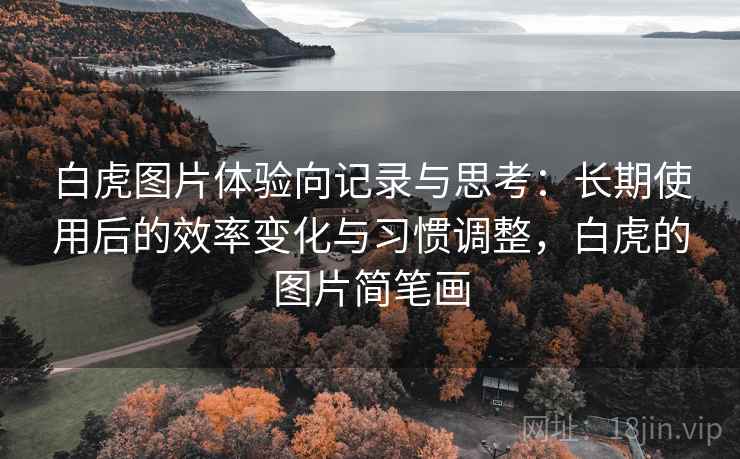 白虎图片体验向记录与思考：长期使用后的效率变化与习惯调整，白虎的图片简笔画
