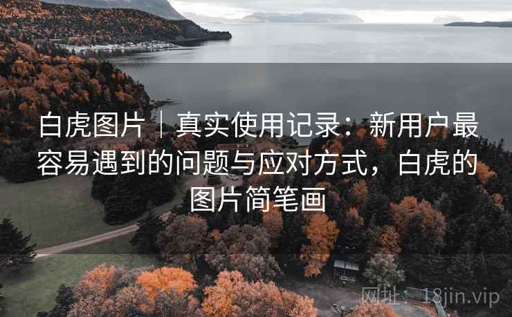 白虎图片|真实使用记录:新用户最容易遇到的问题与应对方式,白虎的图片简笔画 白虎图片|真实使用记录:新用户最容易遇到的问题与应对方式,白虎的图片简笔画