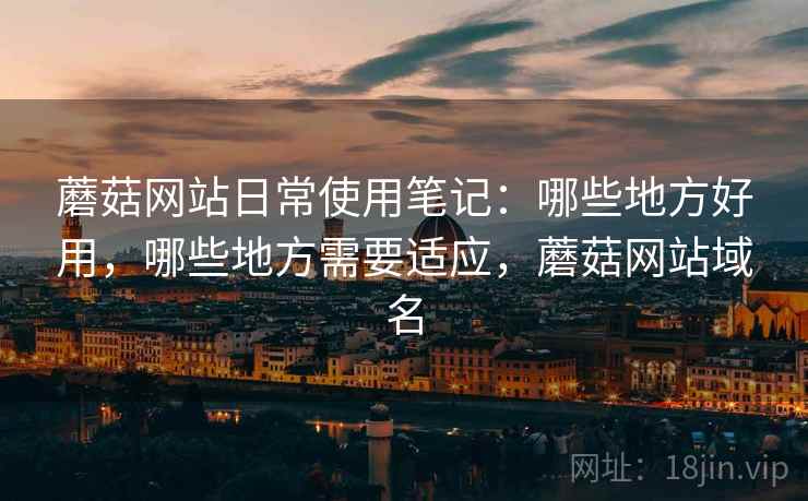 蘑菇网站日常使用笔记：哪些地方好用，哪些地方需要适应，蘑菇网站域名