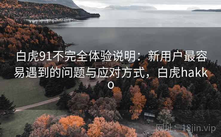 白虎91不完全体验说明：新用户最容易遇到的问题与应对方式，白虎hakko