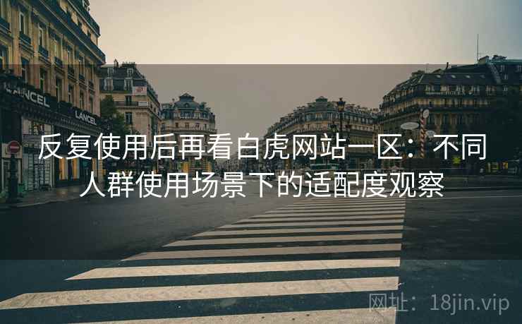 反复使用后再看白虎网站一区：不同人群使用场景下的适配度观察