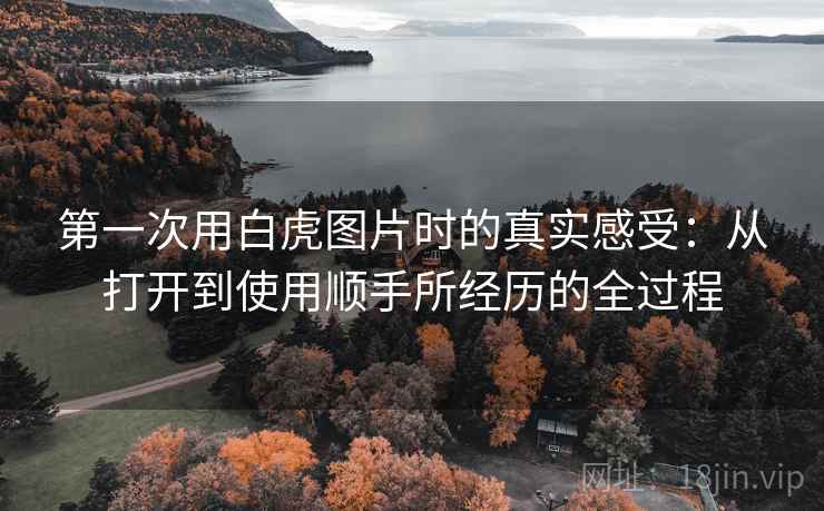 第一次用白虎图片时的真实感受：从打开到使用顺手所经历的全过程