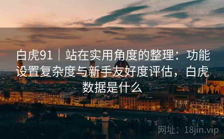 白虎91｜站在实用角度的整理：功能设置复杂度与新手友好度评估，白虎数据是什么