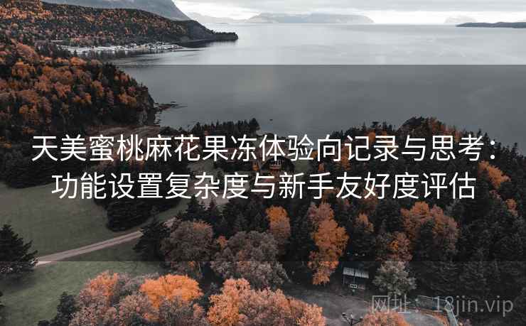 天美蜜桃麻花果冻体验向记录与思考：功能设置复杂度与新手友好度评估