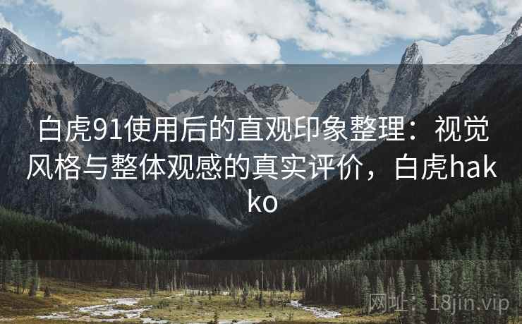 白虎91使用后的直观印象整理：视觉风格与整体观感的真实评价，白虎hakko