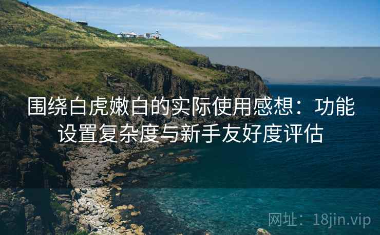 围绕白虎嫩白的实际使用感想：功能设置复杂度与新手友好度评估