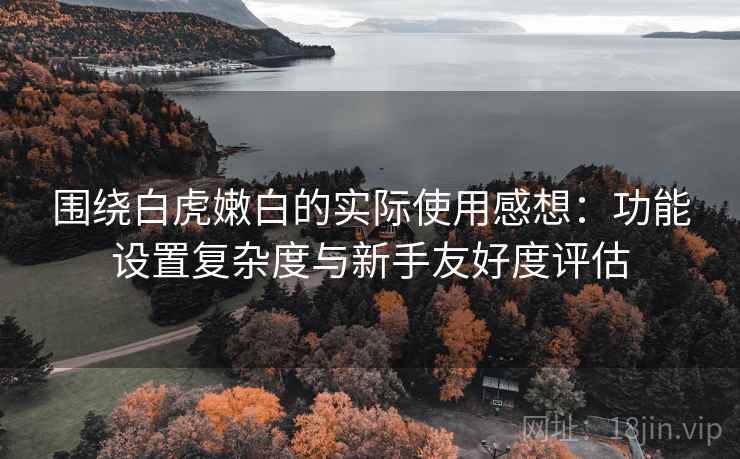 围绕白虎嫩白的实际使用感想：功能设置复杂度与新手友好度评估