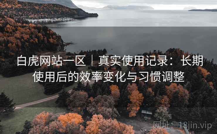 白虎网站一区｜真实使用记录：长期使用后的效率变化与习惯调整