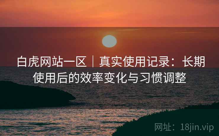 白虎网站一区｜真实使用记录：长期使用后的效率变化与习惯调整