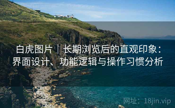 白虎图片｜长期浏览后的直观印象：界面设计、功能逻辑与操作习惯分析