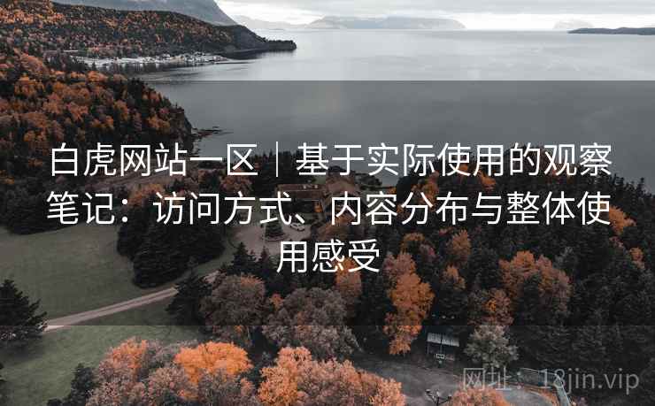 白虎网站一区｜基于实际使用的观察笔记：访问方式、内容分布与整体使用感受