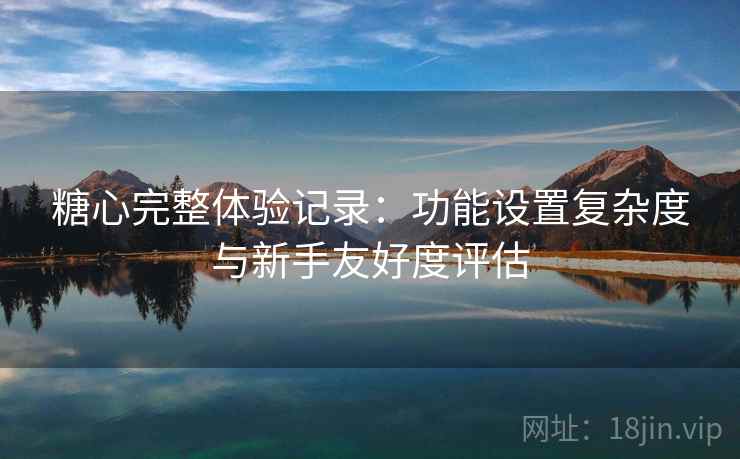 糖心完整体验记录：功能设置复杂度与新手友好度评估